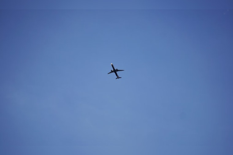 Rogue Horse Aboard Cargo Flight Forces Emergency JFK Return and Fuel Dump Over Massachusetts Coast