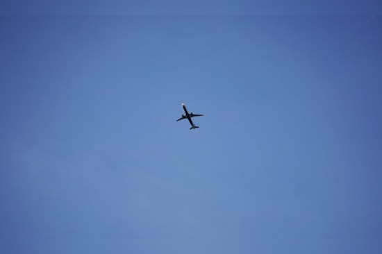 Rogue Horse Aboard Cargo Flight Forces Emergency JFK Return and Fuel Dump Over Massachusetts Coast