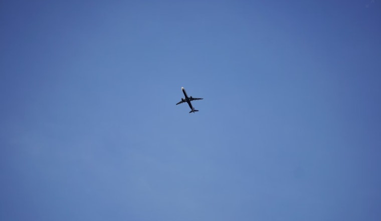 Rogue Horse Aboard Cargo Flight Forces Emergency JFK Return and Fuel Dump Over Massachusetts Coast