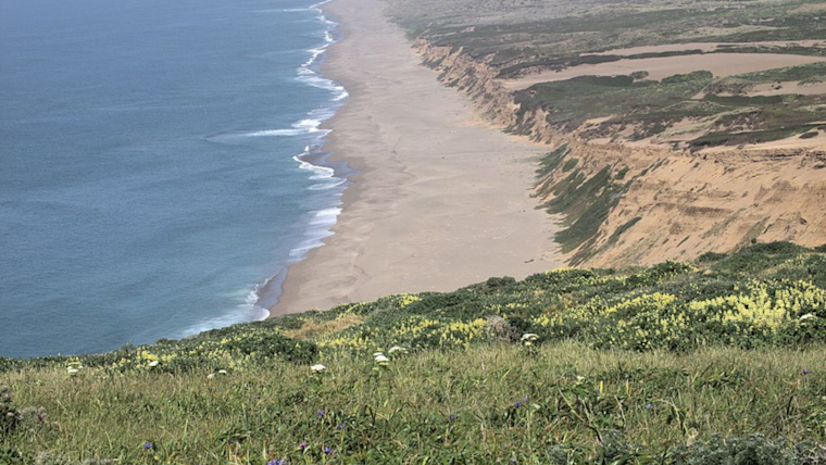 Rogue Wave Claims Life of 73-Year-Old Angler at Point Reyes National Seashore