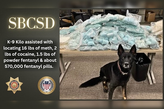 San Bernardino County K-9 Kilo Aids in Massive Narcotics Seizure, Eases Community Impact