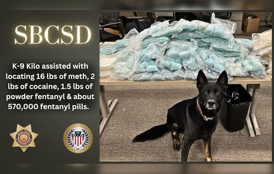 San Bernardino County K-9 Kilo Aids in Massive Narcotics Seizure, Eases Community Impact