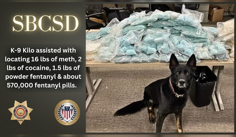 San Bernardino County K-9 Kilo Aids in Massive Narcotics Seizure, Eases Community Impact