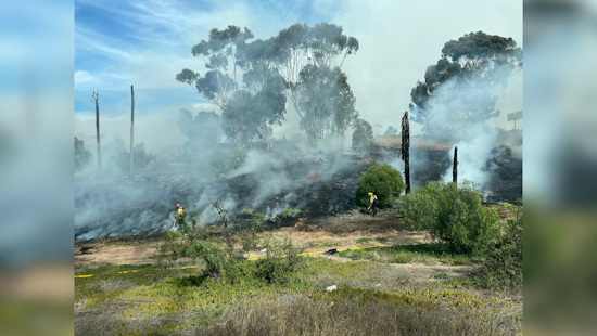 San Diego Brush Fire Near I-805 Temporarily Shuts Down Interstate Ramp