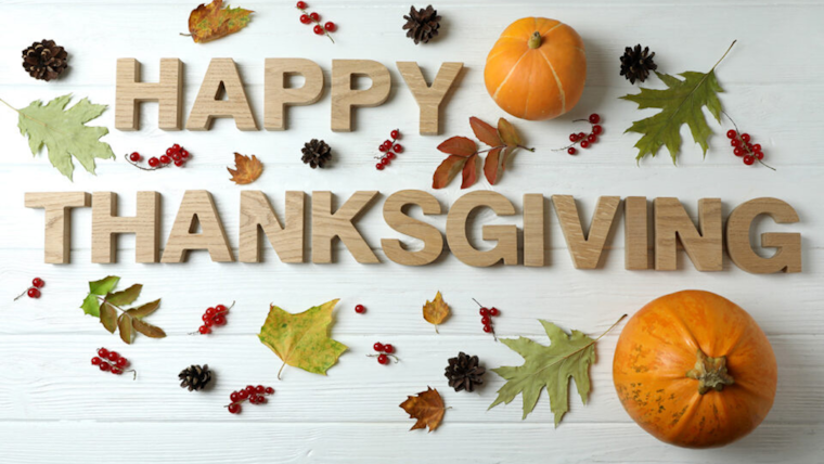 What does a cow bring to thanksgiving What does a cow bring to thanksgiving