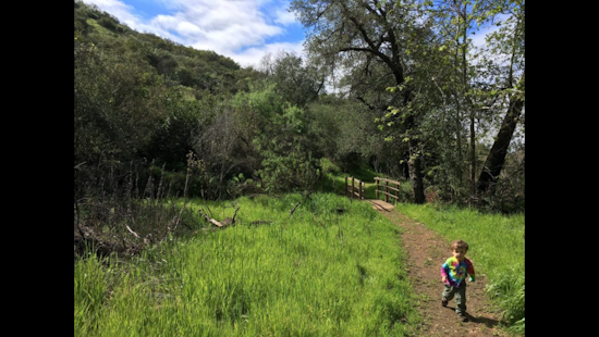 San Diego County's Green Friday Promotes Nature Over Shopping Frenzy