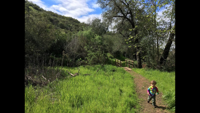 San Diego County's Green Friday Promotes Nature Over Shopping Frenzy