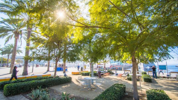 San Diego Port Rolls Out New Pedicab & Mobility Device Regulations for Waterfront Safety