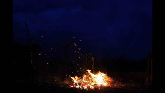San Diego Scorches Permit Suspensions, Bonfires Blaze as Burns Get the Greenlight