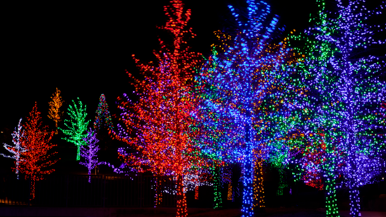 San Diego's Pine Valley Ushers in Festive Cheer with Third Annual Camp Christmas