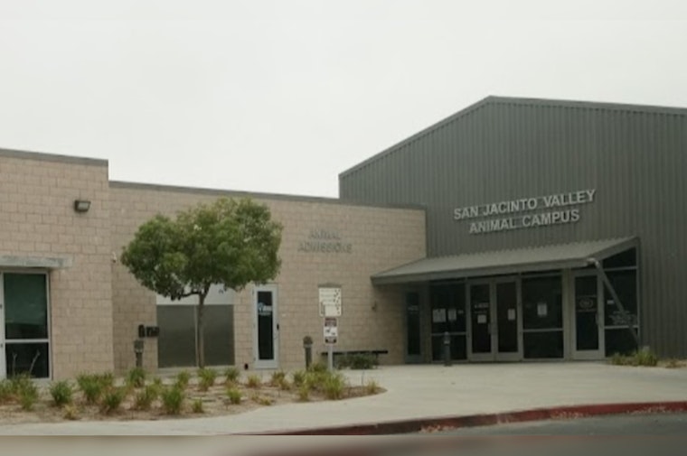 San Jacinto Valley Animal Campus Reopens in Riverside County, Combating Shelter Overcrowding