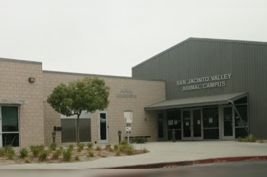 San Jacinto Valley Animal Campus Reopens in Riverside County, Combating Shelter Overcrowding
