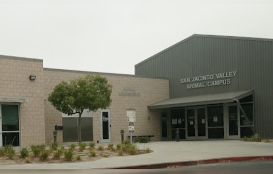 San Jacinto Valley Animal Campus Reopens in Riverside County, Combating Shelter Overcrowding