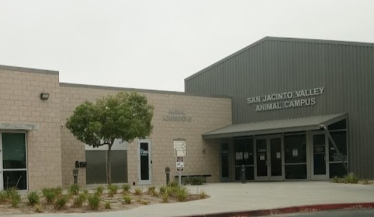 San Jacinto Valley Animal Campus Reopens in Riverside County, Combating Shelter Overcrowding