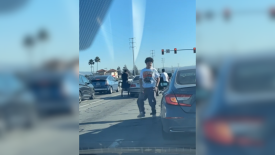 VIDEO: San José Man Caged for Canine's Vehicular Injury, Charged with Vandalism and Animal Abuse