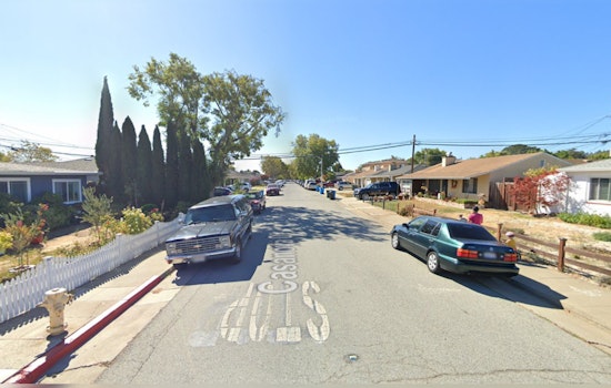 San Mateo Suspect Arrested After Botched Burglary and Scuffle with Police