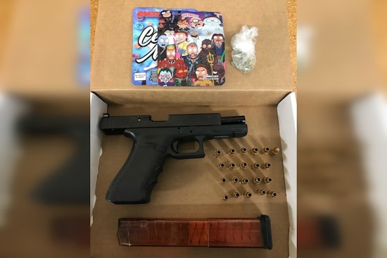 Sauk Village Routine Stop Yields Suspected Pot, Illegal Firearm and Bloodstained Bullet Hole