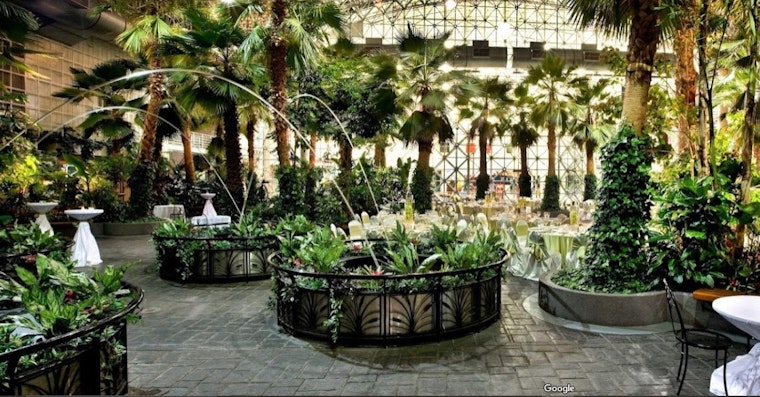 Saving the Palms: Navy Pier's Crystal Gardens Faces Uncertain Future amid Illuminarium Debate in Chicago