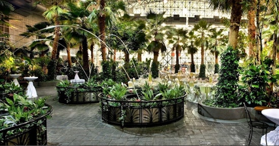 Saving the Palms: Navy Pier's Crystal Gardens Faces Uncertain Future amid Illuminarium Debate in Chicago