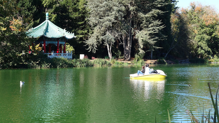 SF's Iconic Stow Lake to Shed Namesake, Tied to Antisemite William W. Stow