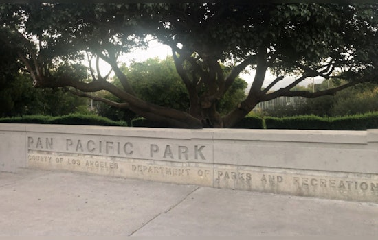 Smoke Bombs & Fake Blood Disrupt Thanksgiving at Pro-Israel Committee President's Home, L.A. Leaders Denounce Violence