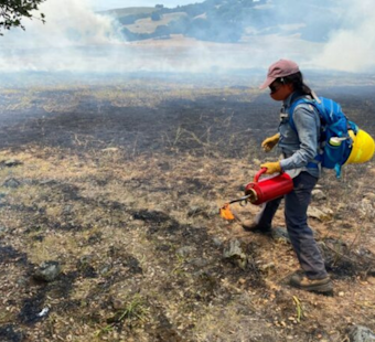 Sonoma County Boosts Wildfire Defense with $2 Million for Vegetation Management Projects