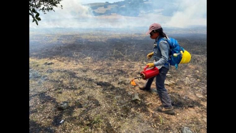 Sonoma County Boosts Wildfire Defense with $2 Million for Vegetation Management Projects