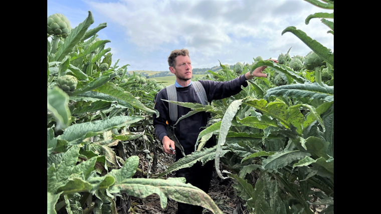 Spade & Plow Farms Sow a Sustainable Future with Aid from Santa Clara County's ARI Grants