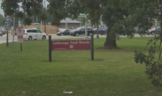 Surge in Antisemitic Incidents in Illinois: Hate Crimes Plague Chicago, La Grange Park, and Skokie
