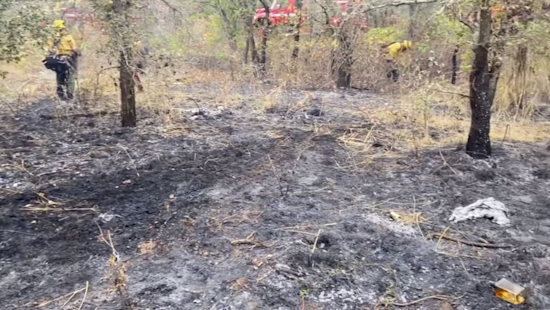 VIDEO: Swift Response Tames Llano Road Blaze Near Sebastopol, Unsupervised Cooking at Homeless Encampment to Blame