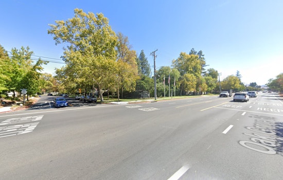 Concord Cops Hunt for Thanksgiving Hit-and-Run Suspect After Senior's Death