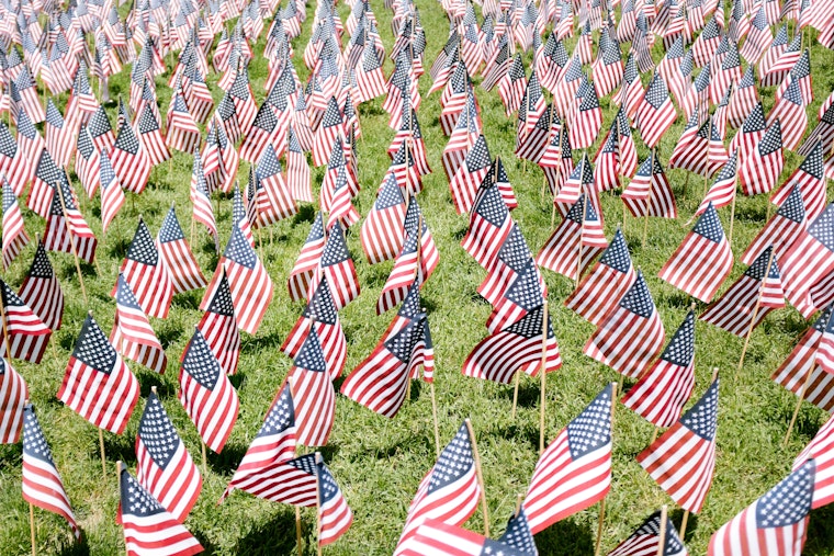 San Diego County Offices to Close for Veterans Day, Adoption Fees Waived at Animal Services