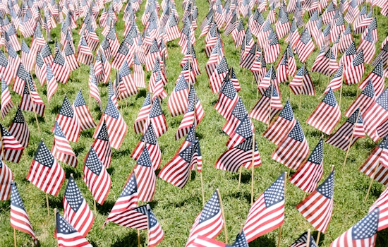 San Diego County Offices to Close for Veterans Day, Adoption Fees Waived at Animal Services