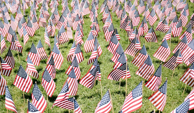 San Diego County Offices to Close for Veterans Day, Adoption Fees Waived at Animal Services