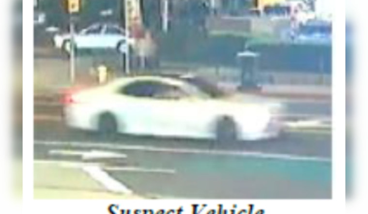 Tragic LA Hit-and-Run Fatality
