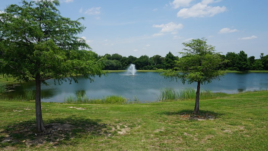 Unexplained Body Found in Frisco Commons Park Pond, Police Seek Public's Assistance