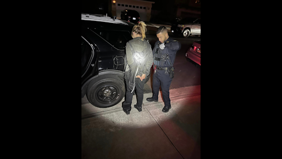 Vacaville Mail Theft Culprit Nabbed While Accomplice Remains at Large