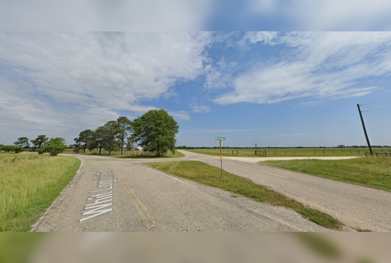 Waller County Deputies Seek Justice for Horse Slain in Cold Blood in Texas