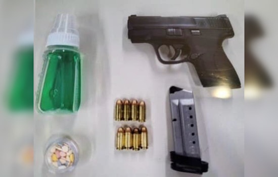 Weapons and Substances Seized in Suburbs of Chicago