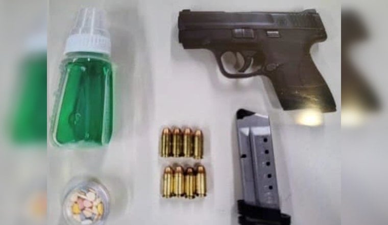 Weapons and Substances Seized in Suburbs of Chicago
