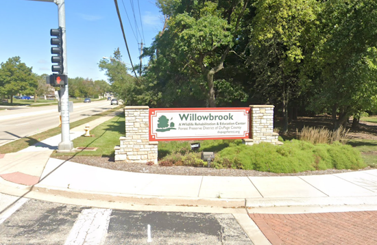 Willowbrook Wildlife Center Secures $4,000 Grant from Illinois' Wildlife Preservation Fund