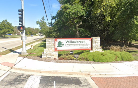 Willowbrook Wildlife Center Secures $4,000 Grant from Illinois' Wildlife Preservation Fund