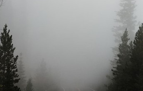 Minneapolis Braces for Drizzle and Dense Fog Ahead of Potential Wet Christmas Weekend