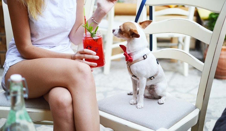 5 Local Eateries Fetch Spots on Yelp's Top 100 Dog-Friendly Restaurants, San Antonio Claiming Lead in Texas