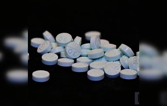 A High Schooler's Tragic Suspected Fentanyl Death Sparks Community Crusade Against Drugs