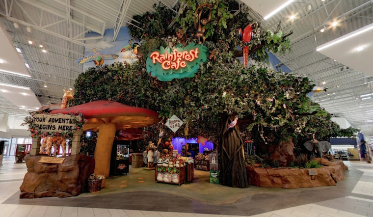  A Katy Family's Meal at Rainforest Café Takes a Terrifying Turn with Emergency Surgery Scare Due to a Burger Battery Incident