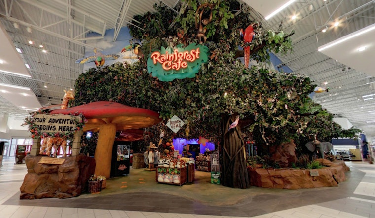 A Katy Family's Meal at Rainforest Café Takes a Terrifying Turn with Emergency Surgery Scare Due to a Burger Battery Incident
