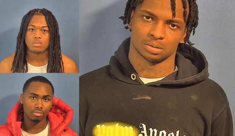Alleged Naperville Gun and Drug Bust Leads to No Bail for Trio