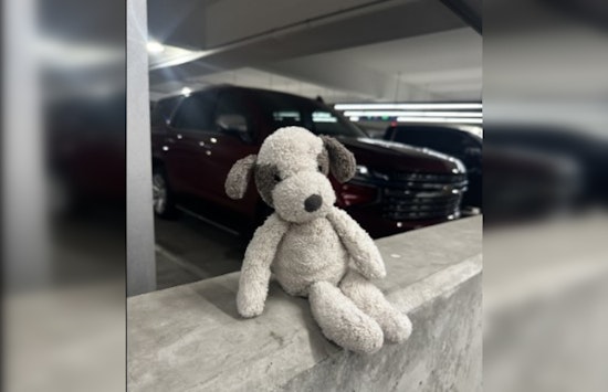 Austin Airport Reunites Toddler with Misplaced Toy Just in Time for Holidays