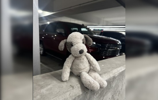 Austin Airport Reunites Toddler with Misplaced Toy Just in Time for Holidays